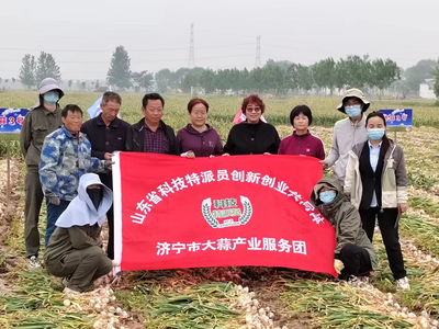 科技賦能“金蒜盤” 山東科技特派員服務團赴金鄉開展大蒜產業調研與技術服務